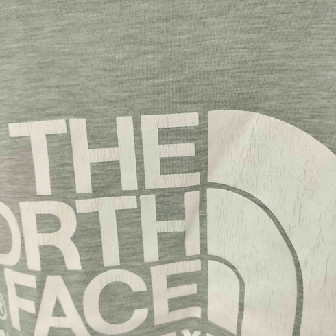 ザノースフェイス THE NORTH FACE COLOR DOME TEE メンズ import:L