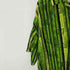 VIRGOLA S/S メッシュデザインストライプシャツ メンズ import:L