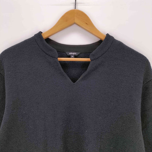 アレグリ allegri イタリア製 スキッパーカットソー メンズ import:M
