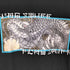 フラグスタフ F-LAGSTUF-F コットン プリントクルーネックTシャツ メンズ JPN:XL