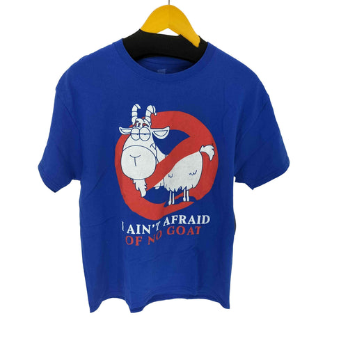 ヘインズ Hanes フロントプリントTシャツ メンズ import:L