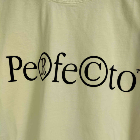 HAL STUDIOS PERFECTO Tシャツ メンズ XL