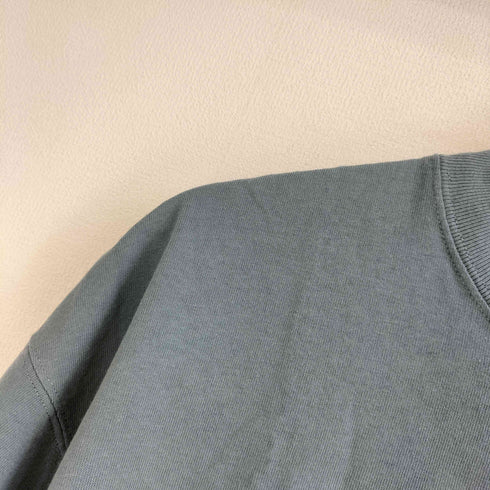 ペンドルトン PENDLETON 25ss 別注バックプリントTシャツ メンズ M