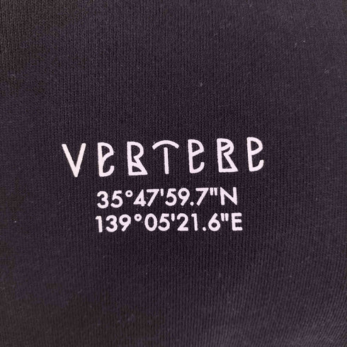 VERTERE Sweatpants メンズ JPN:M
