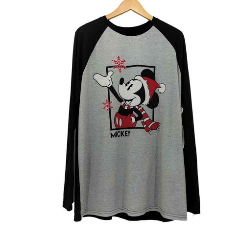 テーマパークキャラクター L/S ラグラン Tシャツ メンズ L/G