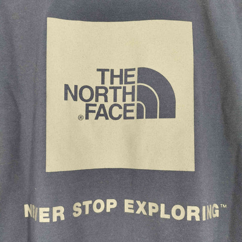 ザノースフェイス THE NORTH FACE S/S SQUARE LOGO T ショートスリーブ スクエア ロゴ Tシャツ メンズ import:S