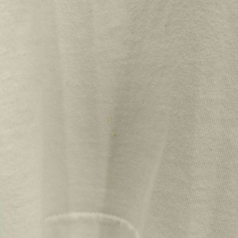 アヴァロン AVALONE 19SS ビッグバックプリント クルーネック L/S Tシャツ メンズ JPN:2