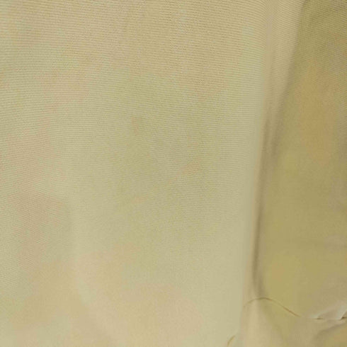 チャンピオン Champion 80s USA製 トリコタグ reverse weave スウェット 完全目無し メンズ import:L