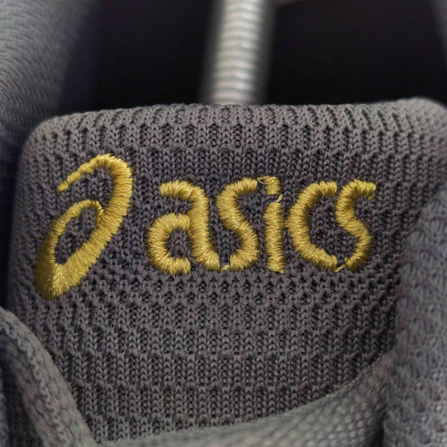 アシックス ASICS GEL-DS TRAINER 14 メンズ JPN:29.5