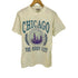 90S USA製 ONEITA POWER-T CHICAGO グラフィック プリント S/S クルーネック Tシャツ シングルステッチ コピーライト1994 メンズ import:S