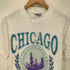 90S USA製 ONEITA POWER-T CHICAGO グラフィック プリント S/S クルーネック Tシャツ シングルステッチ コピーライト1994 メンズ import:S