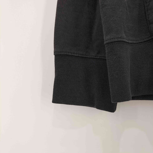 ザノースフェイス THE NORTH FACE US企画 タイガー バックプリント プルオーバー パーカー メンズ import:M