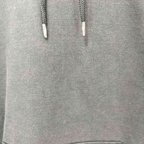 ザノースフェイス THE NORTH FACE US企画 タイガー バックプリント プルオーバー パーカー メンズ import:M