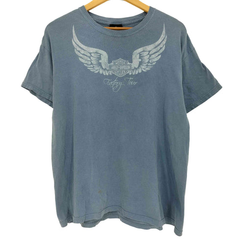 ハーレーダビッドソン HARLEY-DAVIDSON Factry Tour イーグル羽 プリントTシャツ メンズ import:XL