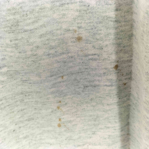 フルーツオブザルーム FRUIT OF THE LOOM 90S USA製 シングルステッチ プリントクルーネックTシャツ メンズ import:L