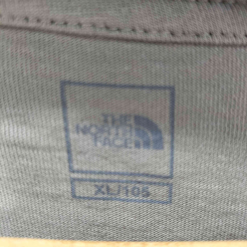ザノースフェイス THE NORTH FACE S/S 24SS コットンベーシック半袖Tシャツ メンズ import:XL