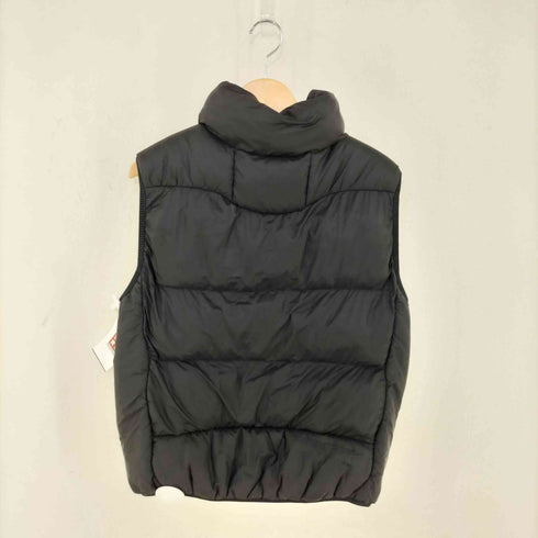 ナイキエーシージー NIKE ACG 21AW TFADV ACG LUNAR LK ルナ レイク ベスト メンズ JPN:XS