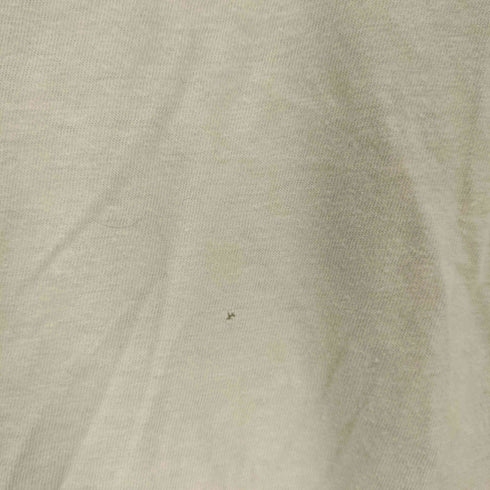 ヘインズ Hanes USA製 シングルステッチ クルーネックTシャツ メンズ import:XL