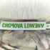 CHOPOVA LOWENA 24SS 総柄切替メッシュトップス セカンドスキン パワーネット レディース import:M