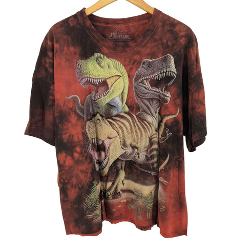 ザマウンテン the mountain 00s ダイナソー タイダイTシャツ メンズ JPN:XL