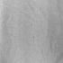 コヒナ COHINA ワイドスリーブボートネックTシャツ レディース regular