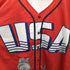 MY FREEDOM JERSEY USA 星条旗 自由の女神 ナンバリング 1 半袖 ゲームシャツ ビックサイズ メンズ 5XL