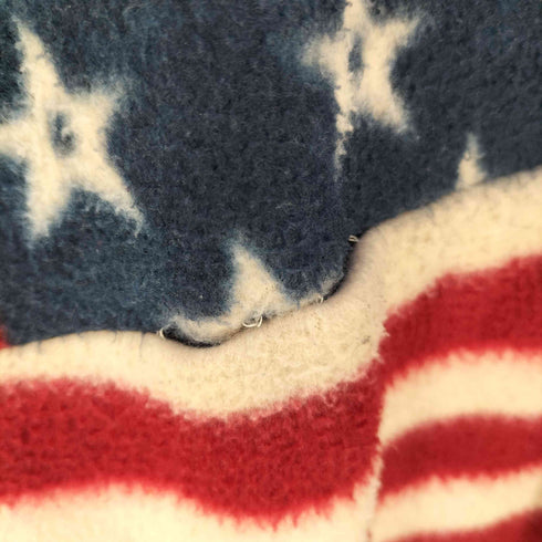 星条旗 ハーフジップ プルオーバー フリースジャケット メンズ