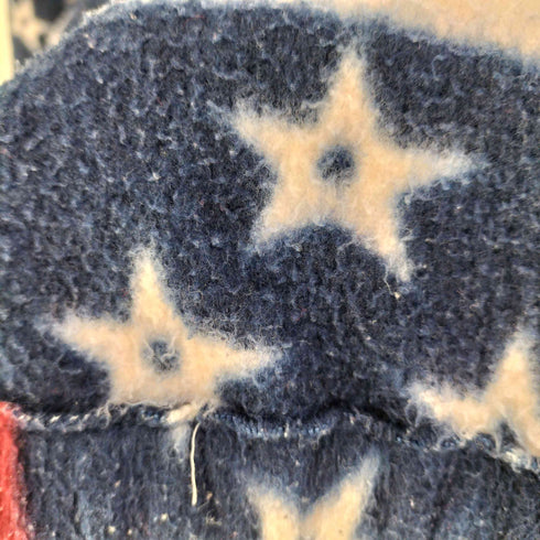 星条旗 ハーフジップ プルオーバー フリースジャケット メンズ