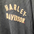 ハーレーダビッドソン HARLEY-DAVIDSON インド製 L/S バック ロゴ 刺繍 クルーネック サーマル Tシャツ メンズ import:L