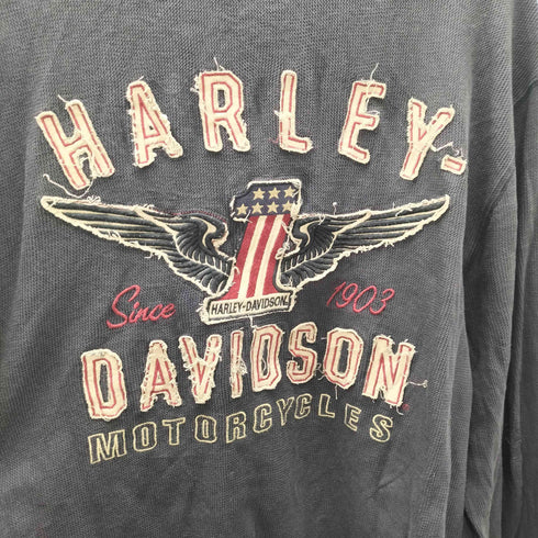 ハーレーダビッドソン HARLEY-DAVIDSON インド製 L/S バック ロゴ 刺繍 クルーネック サーマル Tシャツ メンズ import:L
