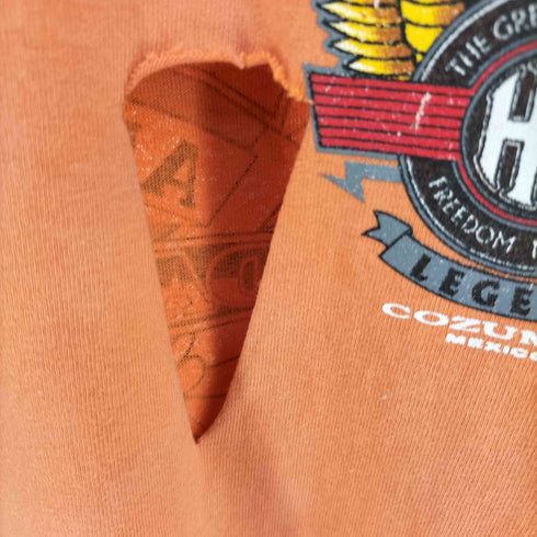 ハーレーダビッドソン HARLEY-DAVIDSON ロゴ 両面プリント Tシャツ メンズ