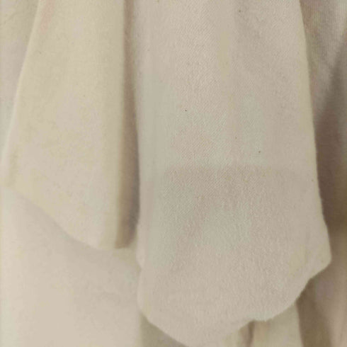 ヘインズ Hanes 90s USA製 シングルステッチ 両面プリントTシャツ メンズ import:XL
