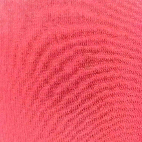 フルーツオブザルーム FRUIT OF THE LOOM 90S USA製 printTシャツ メンズ JPN:XL