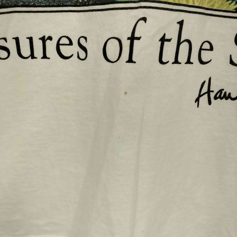 フルーツオブザルーム FRUIT OF THE LOOM MADE IN USA TREASURES フロントプリントクルーネックS/S Tシャツ メンズ import:M