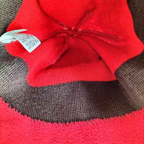 ザノースフェイス THE NORTH FACE BONES BEANIE メンズ FREE