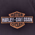 ハーレーダビッドソン HARLEY-DAVIDSON タイガー刺繍 リバーシブルスカジャン メンズ import:S