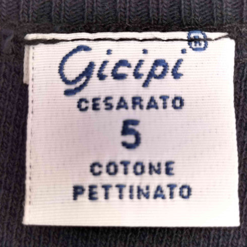 ジチピ gicipi COTONE PETTINATO イタリア背 コットン ニットTシャツ メンズ JPN:5