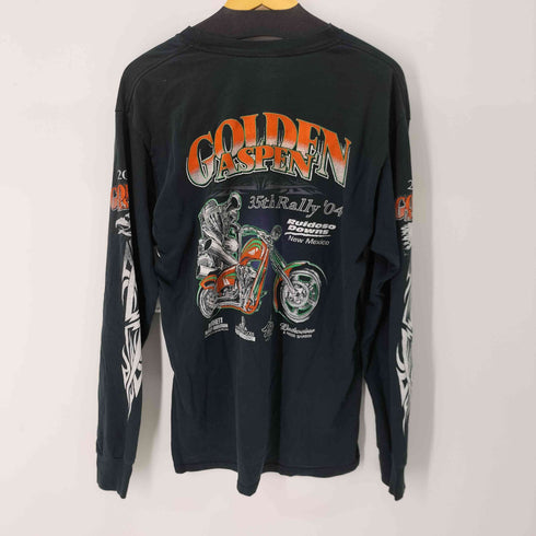 ギルダン GILDAN 00s GOLDEN ASPEN 長袖Tシャツ ロンT 袖トライバル メンズ JPN:L