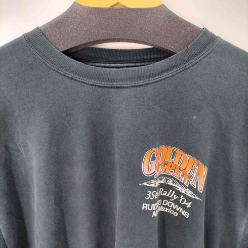 ギルダン GILDAN 00s GOLDEN ASPEN 長袖Tシャツ ロンT 袖トライバル メンズ JPN:L