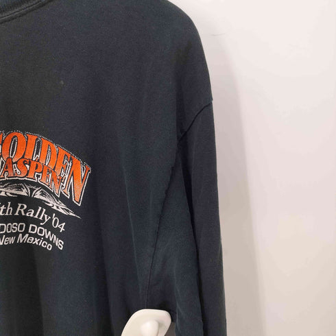 ギルダン GILDAN 00s GOLDEN ASPEN 長袖Tシャツ ロンT 袖トライバル メンズ JPN:L