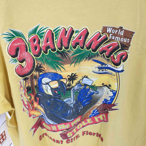 ギルダン GILDAN 両面プリントS/S Tシャツ メンズ XL