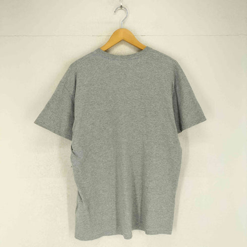 ギルダン GILDAN 星条旗サーフボードプリントクルーネックTシャツ メンズ JPN:L