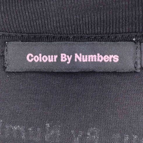COLOUR BY NUMBERS グラフィック フォト Tシャツ メンズ M