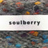 ソウルベリー soulberry 店長がつくった、焚火ネップのベスト レディース LL