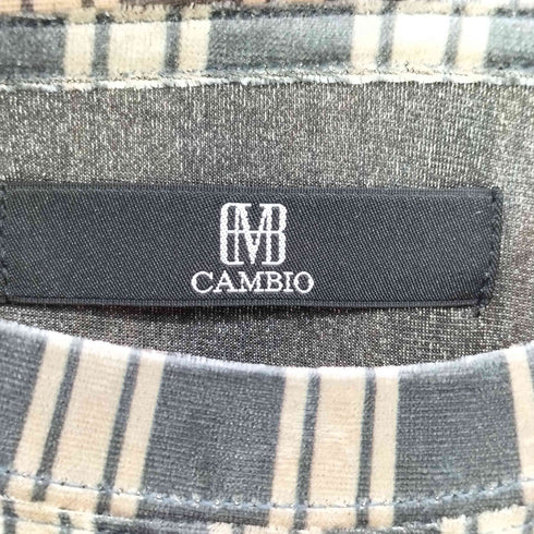 カンビオ CAMBIO ストライプベロアTシャツ メンズ JPN:M
