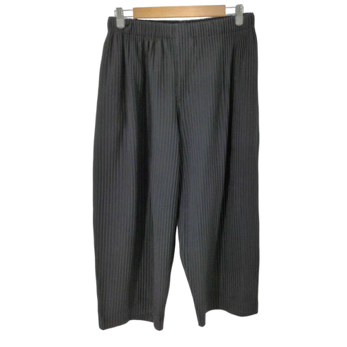 オムプリッセイッセイミヤケ HOMME PLISSE ISSEY MIYAKE 21SS クロップド ワイドプリーツパンツ メンズ 2