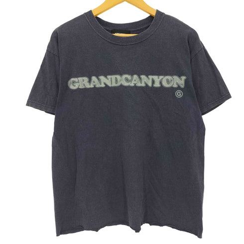 グランドキャニオン GRANDCANYON anvilボディー プリント Tシャツ メンズ import:L