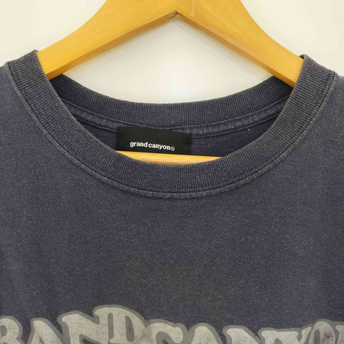 グランドキャニオン GRANDCANYON anvilボディー プリント Tシャツ メンズ import:L