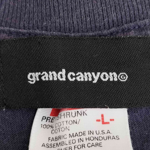 グランドキャニオン GRANDCANYON anvilボディー プリント Tシャツ メンズ import:L