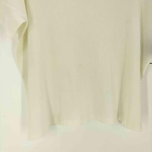 プリーツプリーズイッセイミヤケ PLEATS PLEASE ISSEY MIYAKE プリーツ ボトルネック カットソー 平面パターン レディース JPN:3